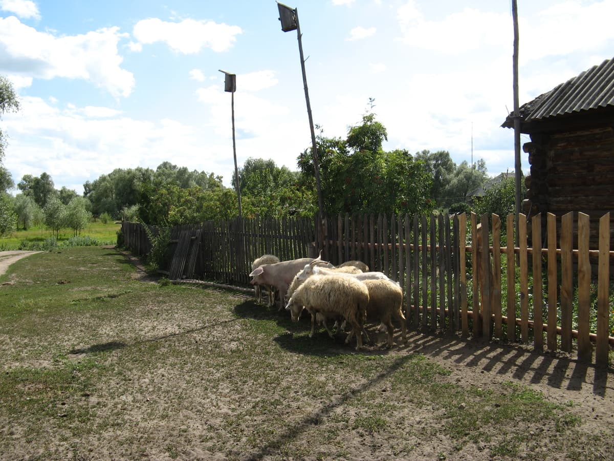 20110725101806-0166e86a.jpg