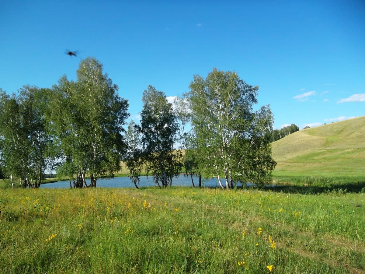 20110725121143-d95411ce.jpg