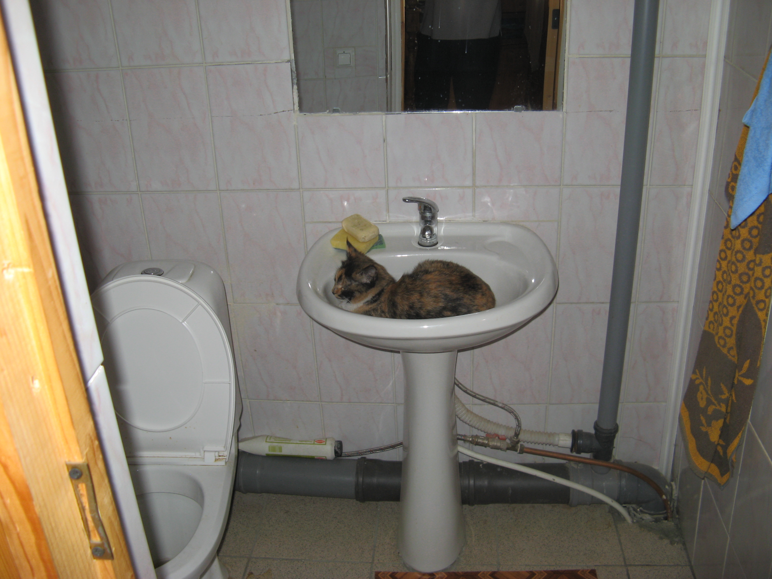 Дом